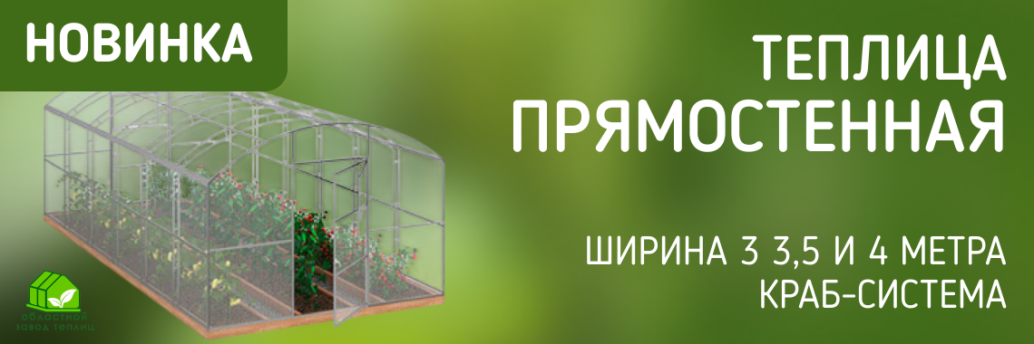 Успей купить по скидке!