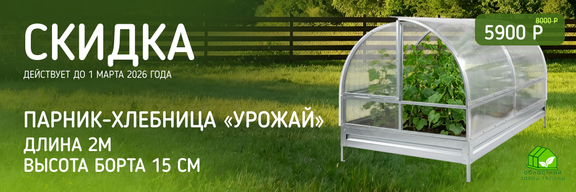 Успей купить по скидке!