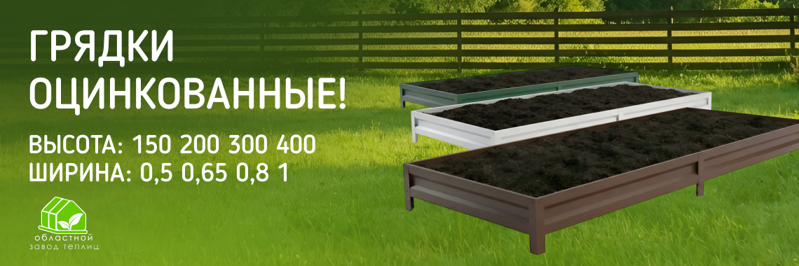 Успей купить по скидке!